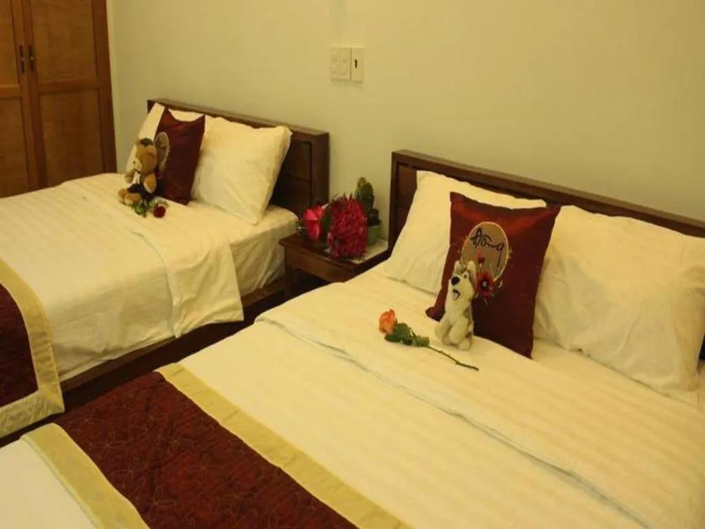 Bong Mai Motel Danang 0*,